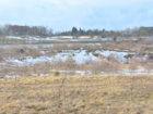 Subsided Grounds