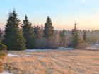 Open Landscape