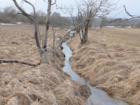 UNESCO protected Stream
