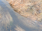 Spontaneous Waterbodies