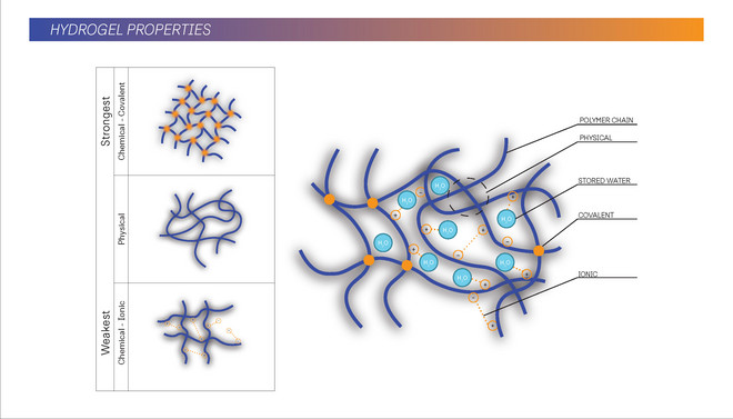 Hydrogel Properties