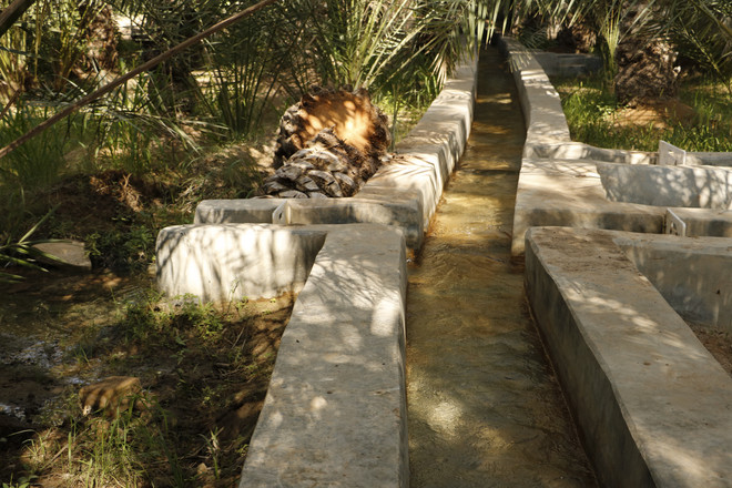 The falaj system in Al Ain Oasis