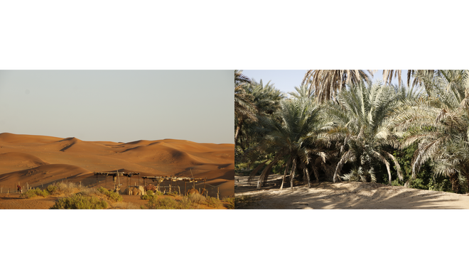 Al Ain is famous for its cultural richness, oasis and its historical significance.