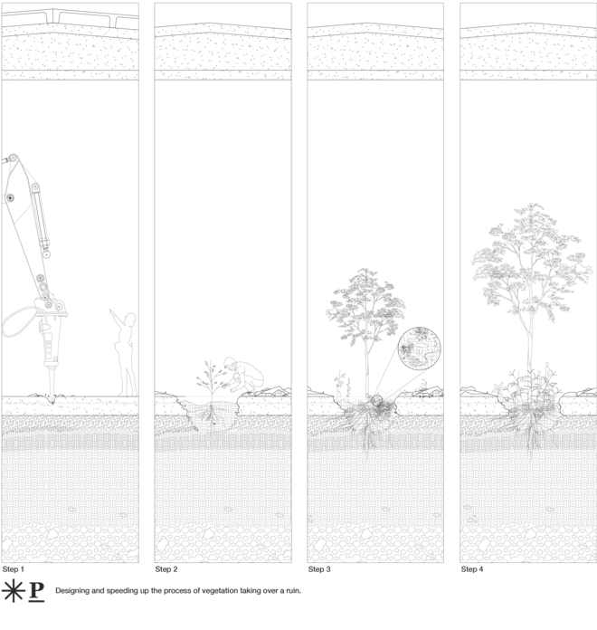 Designing and speeding up the process of vegetation taking over a ruin.