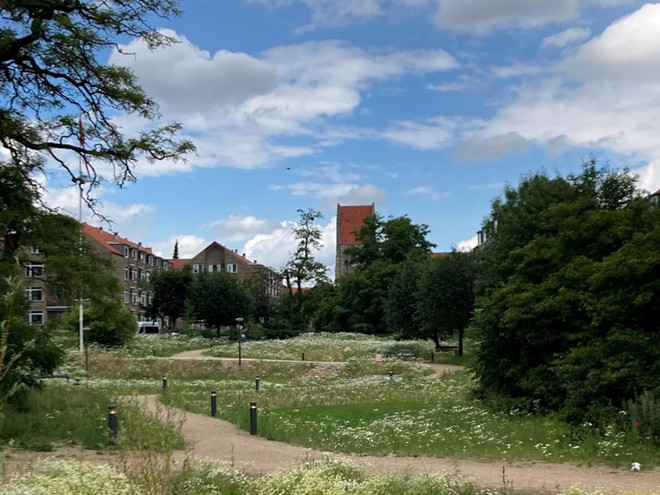 Park med grønt græs og buske i byområde