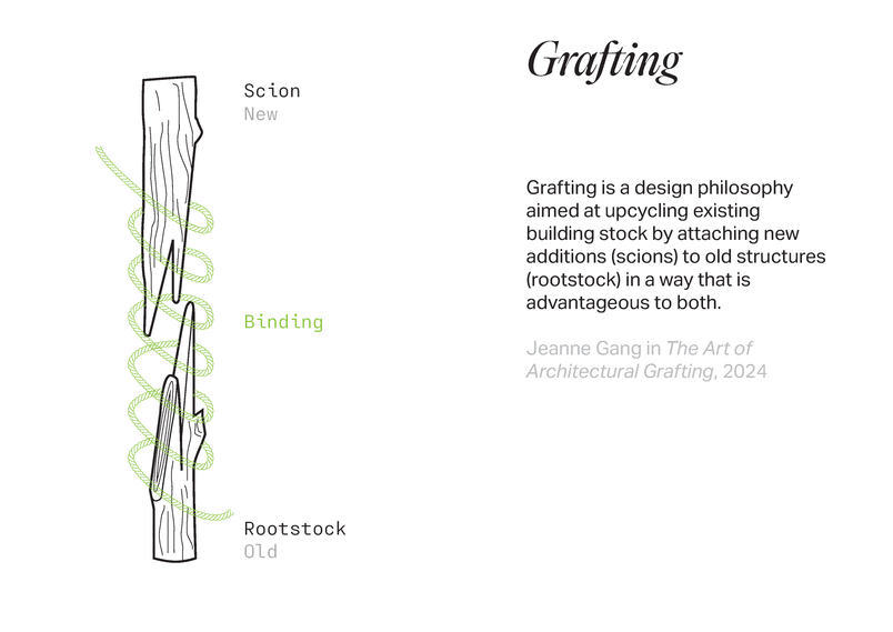Diagram of grafting concept.