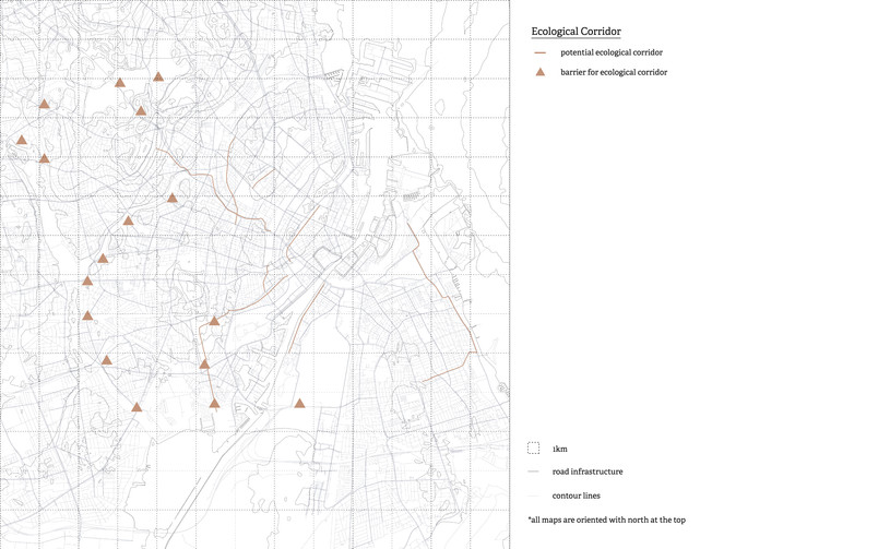 Potential ecological corridor