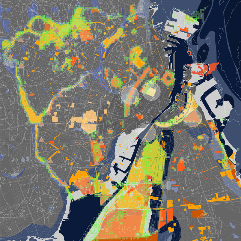 Different Concepts of Nature Overlapped in Copenhagen