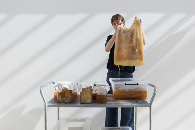 Harvesting bacterial cellulose, photo by I DO ART Agency