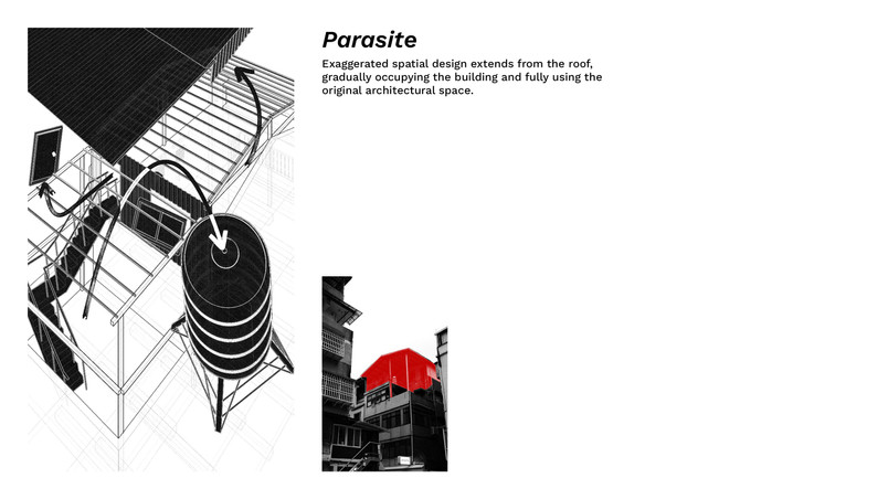 Parasite