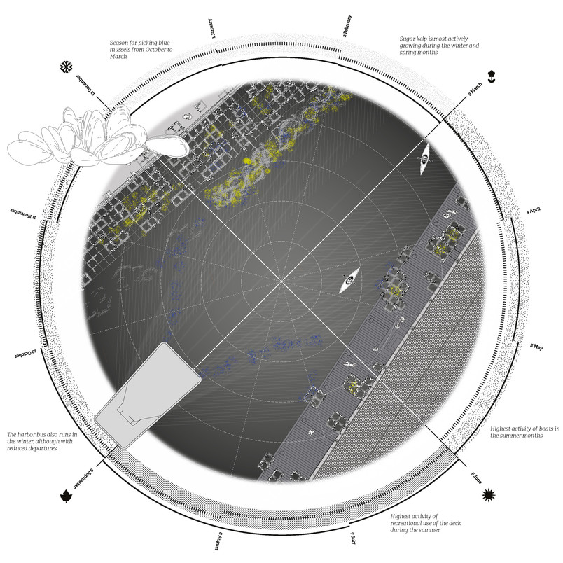 Seasonal Plan Wheel: Kalvebod Harbour