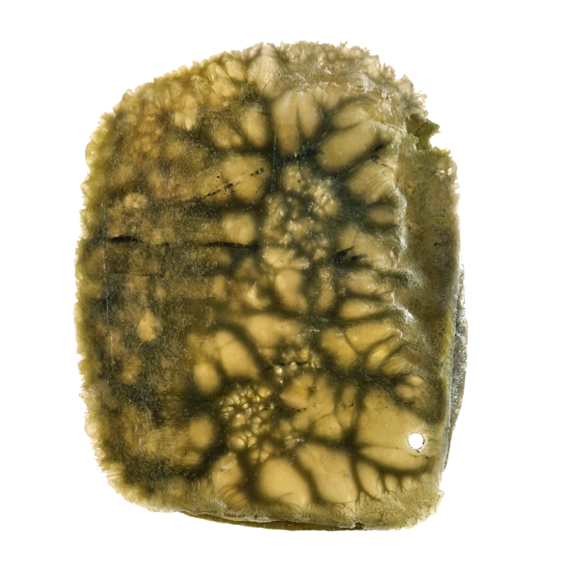 Cellular structure II