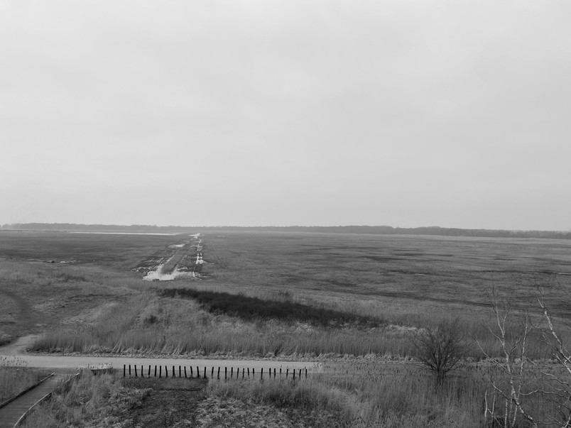 Ørestad Syd 02