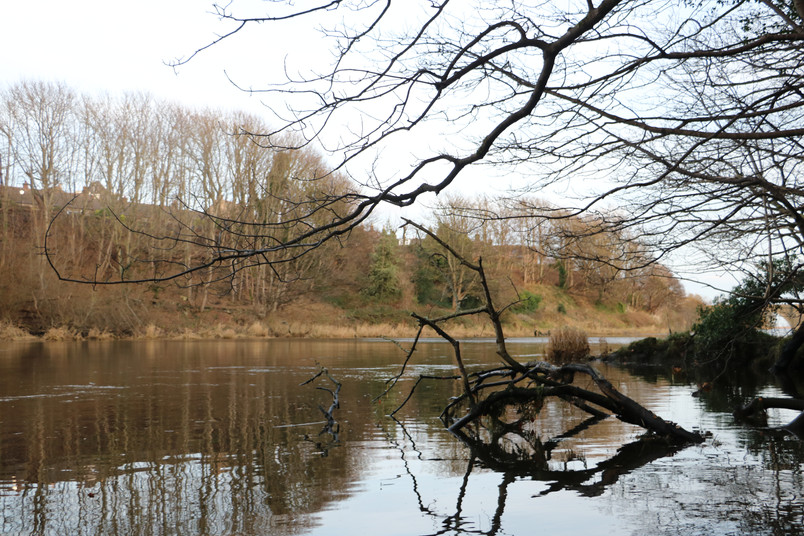 River Don