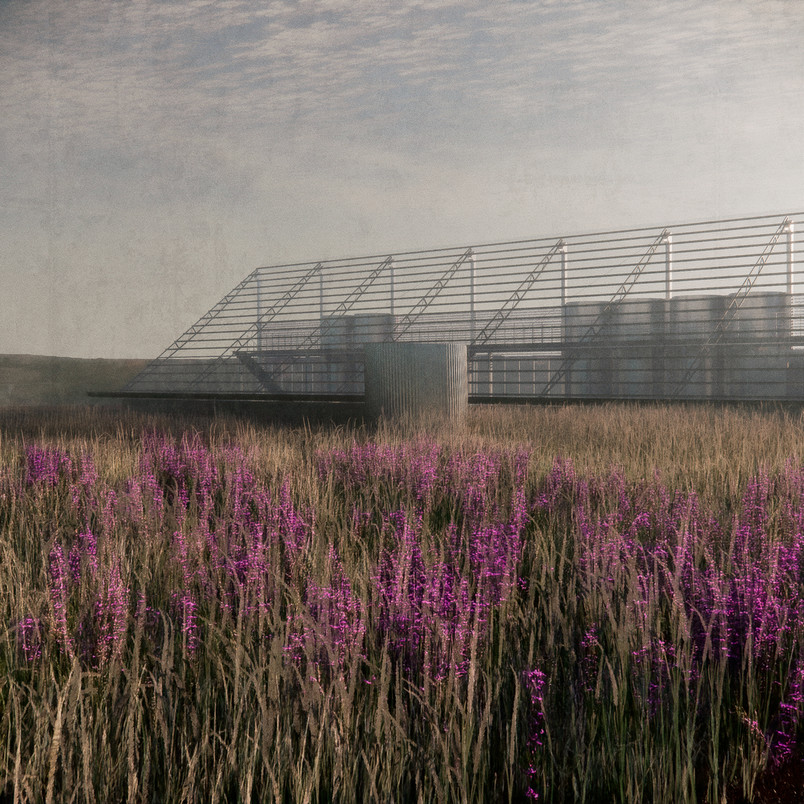 Visualisering: Mark, efterår