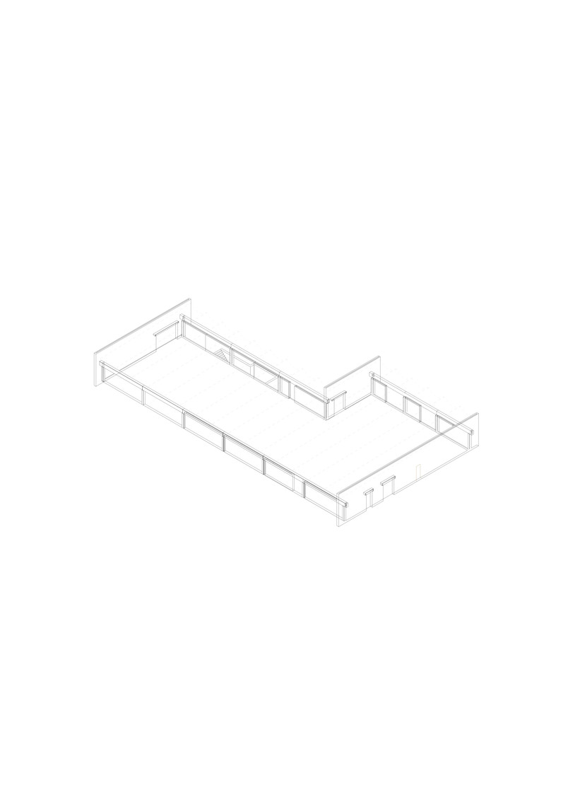 Skelet