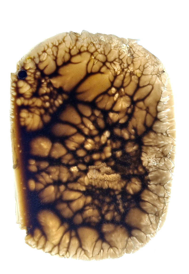 Cellular structure I