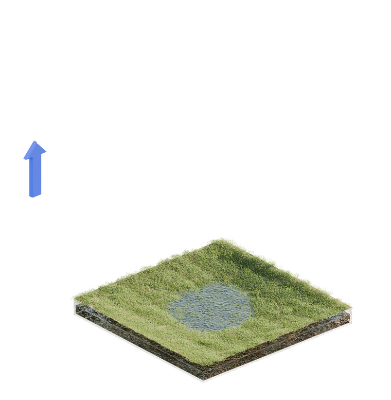 Rising Groundwater