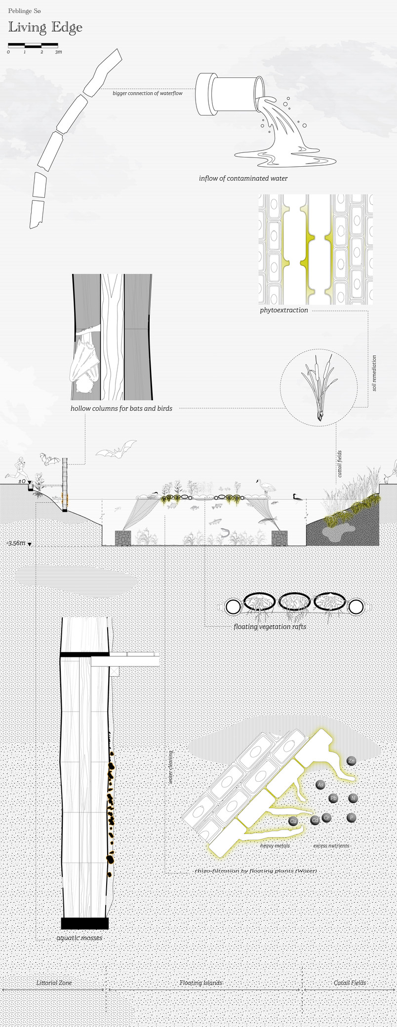Section of biological performance: Living Edge