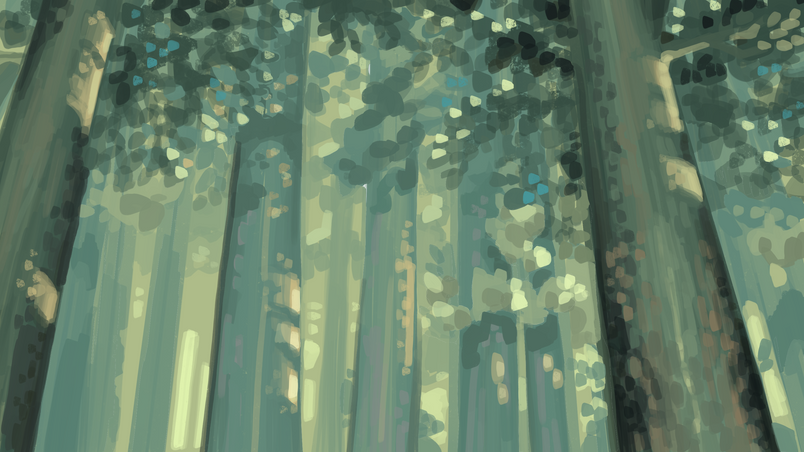 Forest illustration