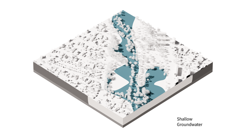Shallow Groundwater