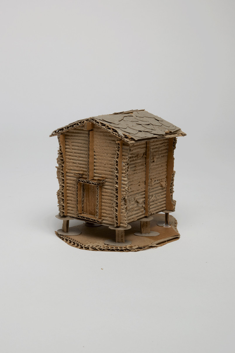 typology study model