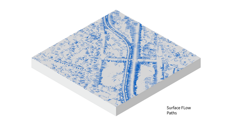 Surface Flow Paths