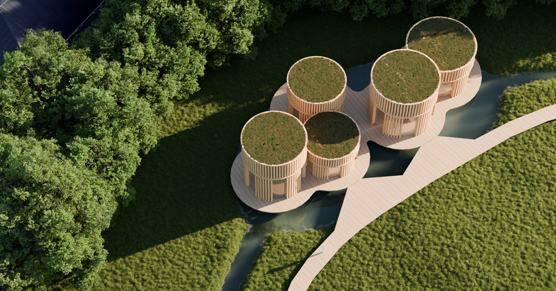 The oasis top view