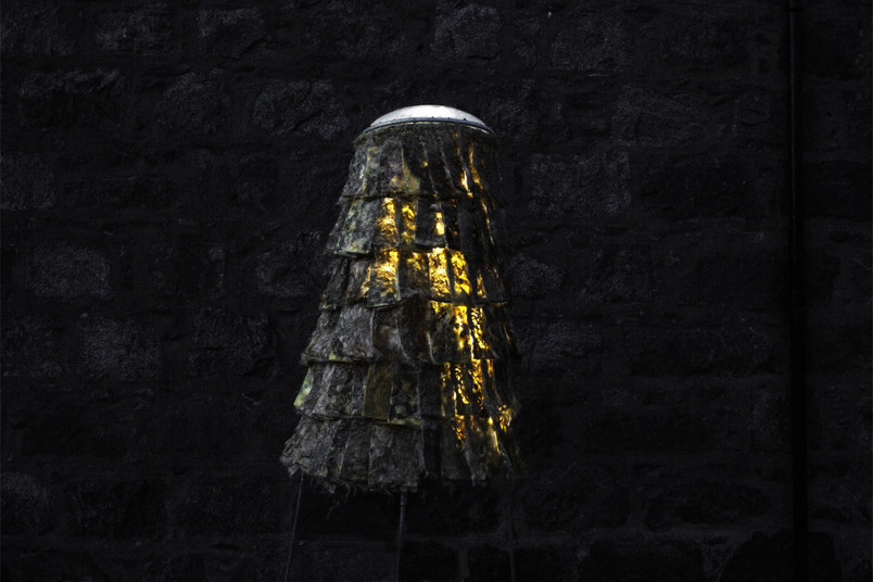 Light properties of wool as a translucent cladding material. 