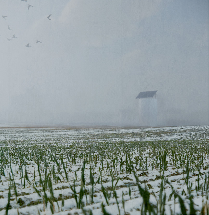 Visualisering: Mark og kompost-tank, vinter