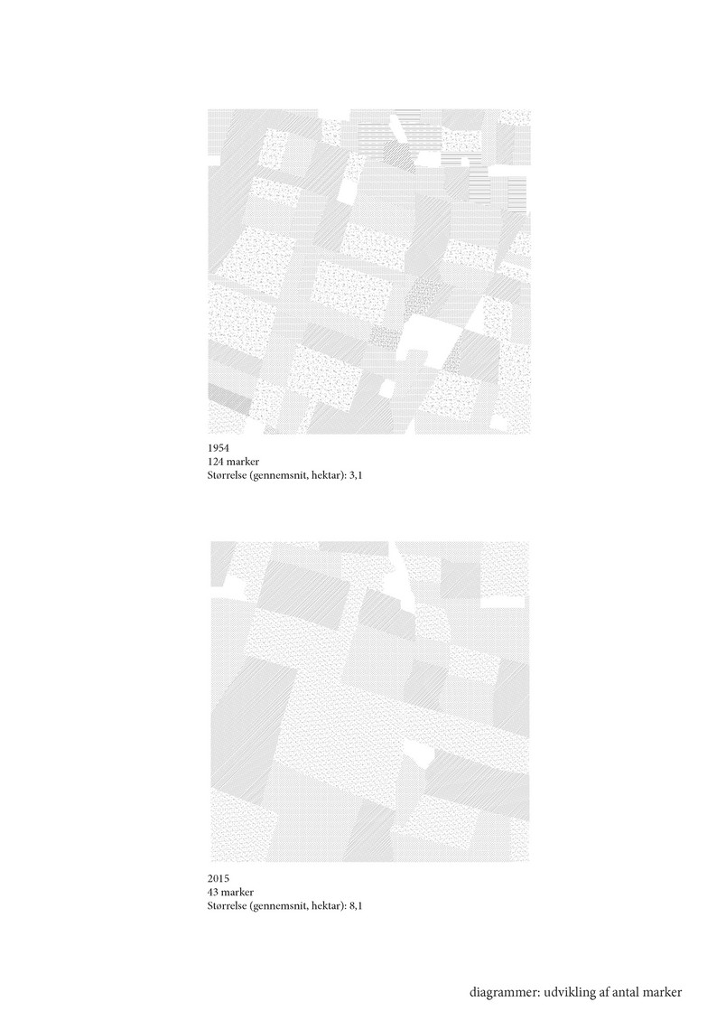 Diagram: Udviklingen i markstørrelse 1955-2015