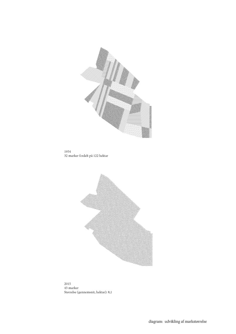 Diagram: Udvikling i markstørrelse 1955-2015
