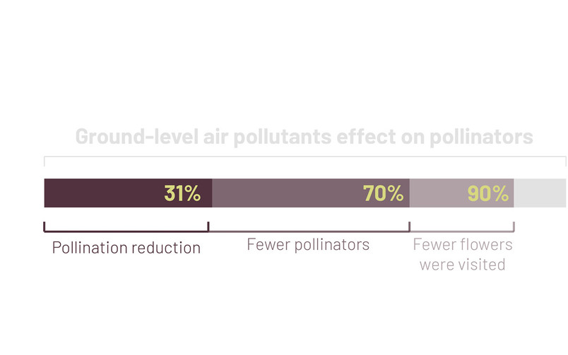 Table over air pollutions effect on pollinators in The UK
