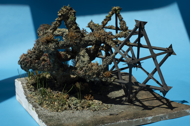 Sea Star structure