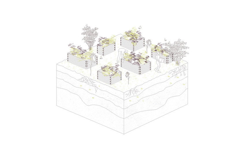 Phase 2: Proposed stage of industrial site - Using phytoextraction to absorb the heavy metals