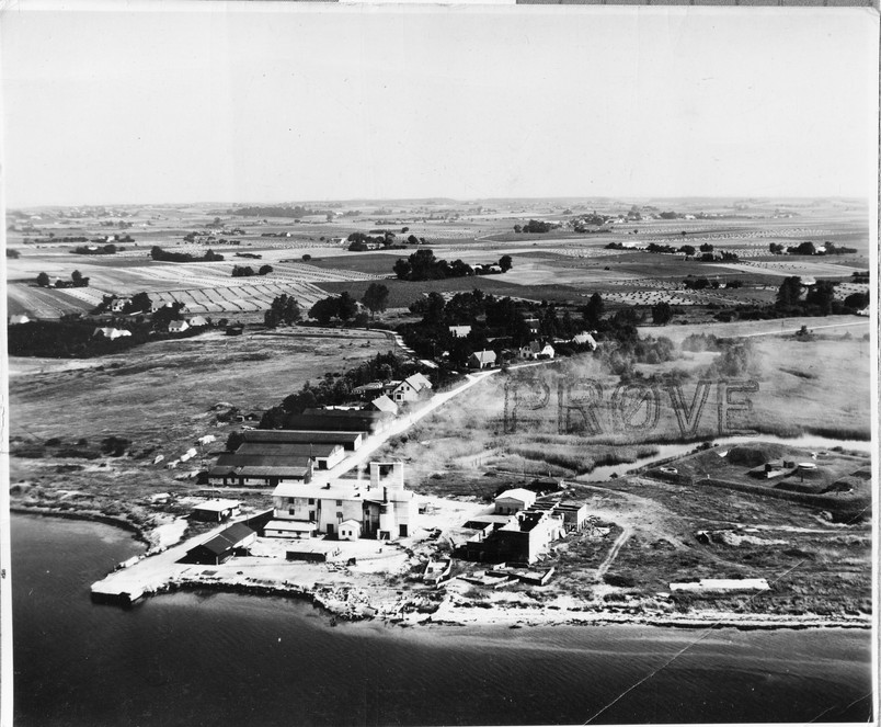 1951