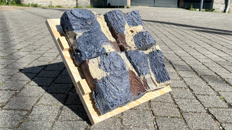 Graded Acoustic Biofoam Panels