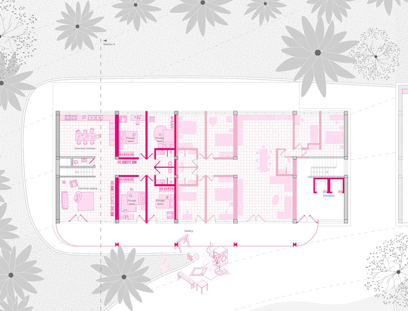 Plan of Collective