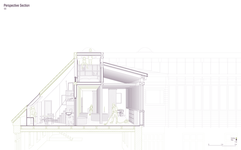 Perspective section