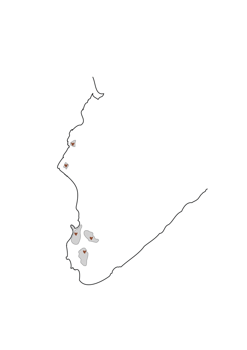 Social meeting places