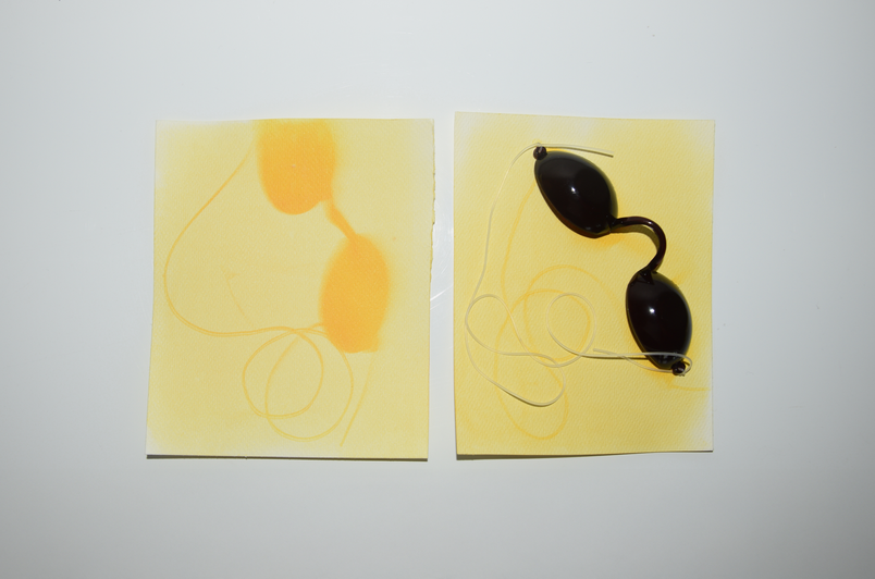 Anthotype printing process