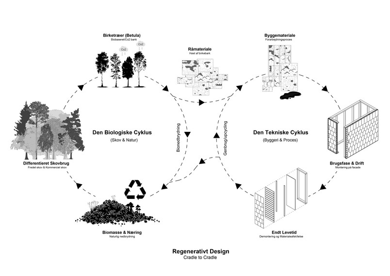 Betula - Regenerative Facade Design