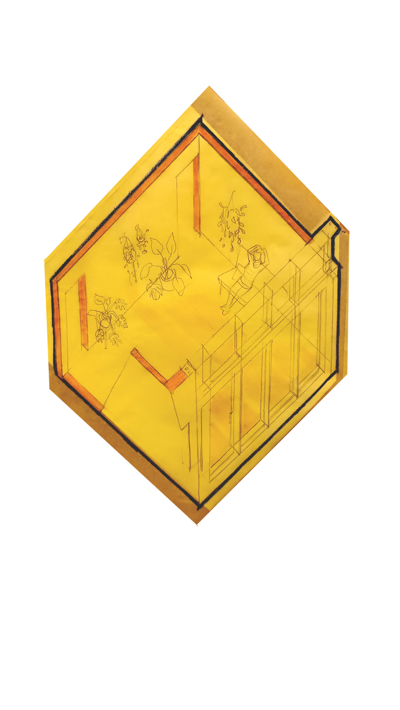Winter garden axonometric drawing. 