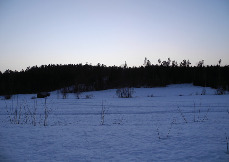 Hälsingland, Sitebilder februari-26