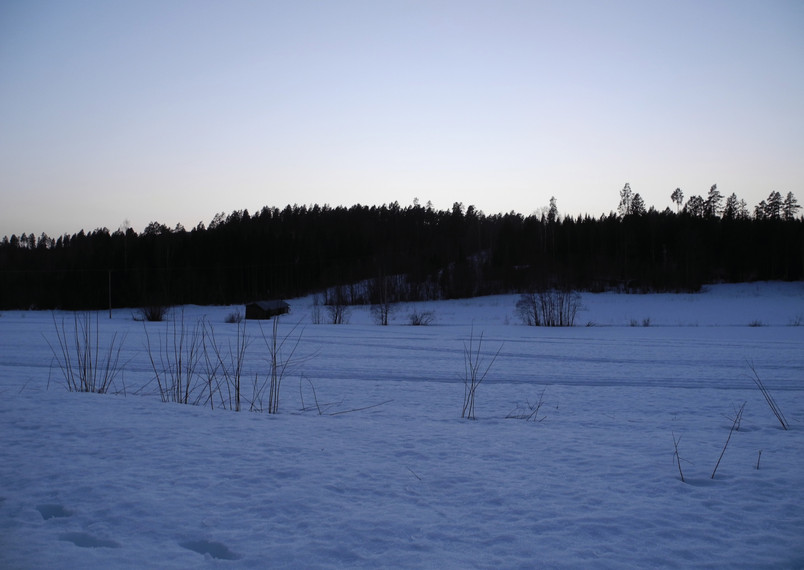 Hälsingland, Sitebilder februari-26
