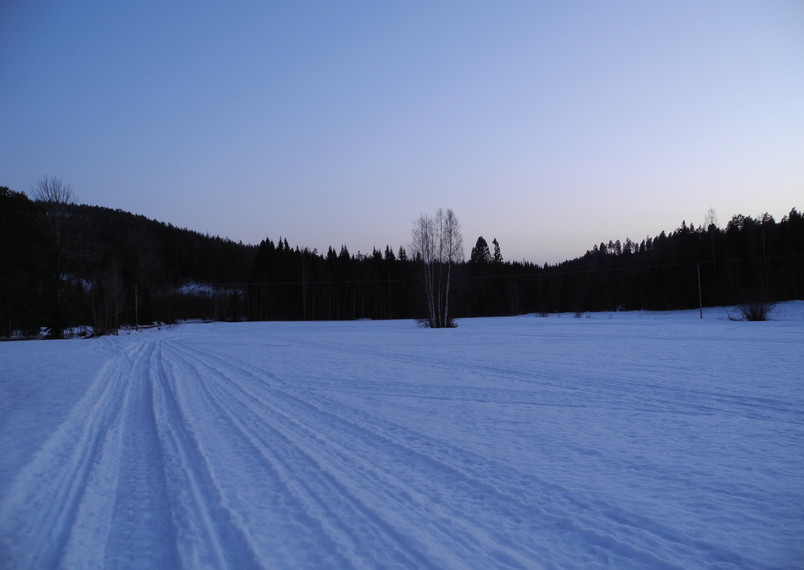 Hälsingland, Sitebilder februari-26