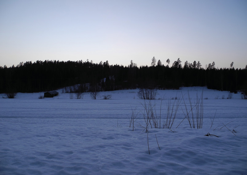 Hälsingland, Sitebilder februari-26