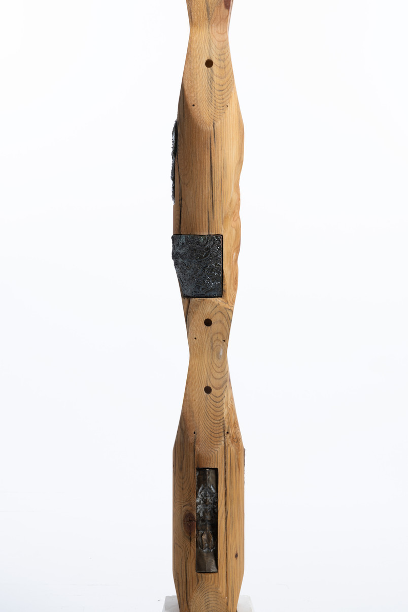 Wooden Pole, Reduction Artefact and Bronze Artefact. 2000x100