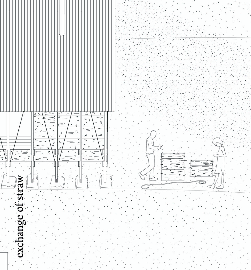 Detail_straw