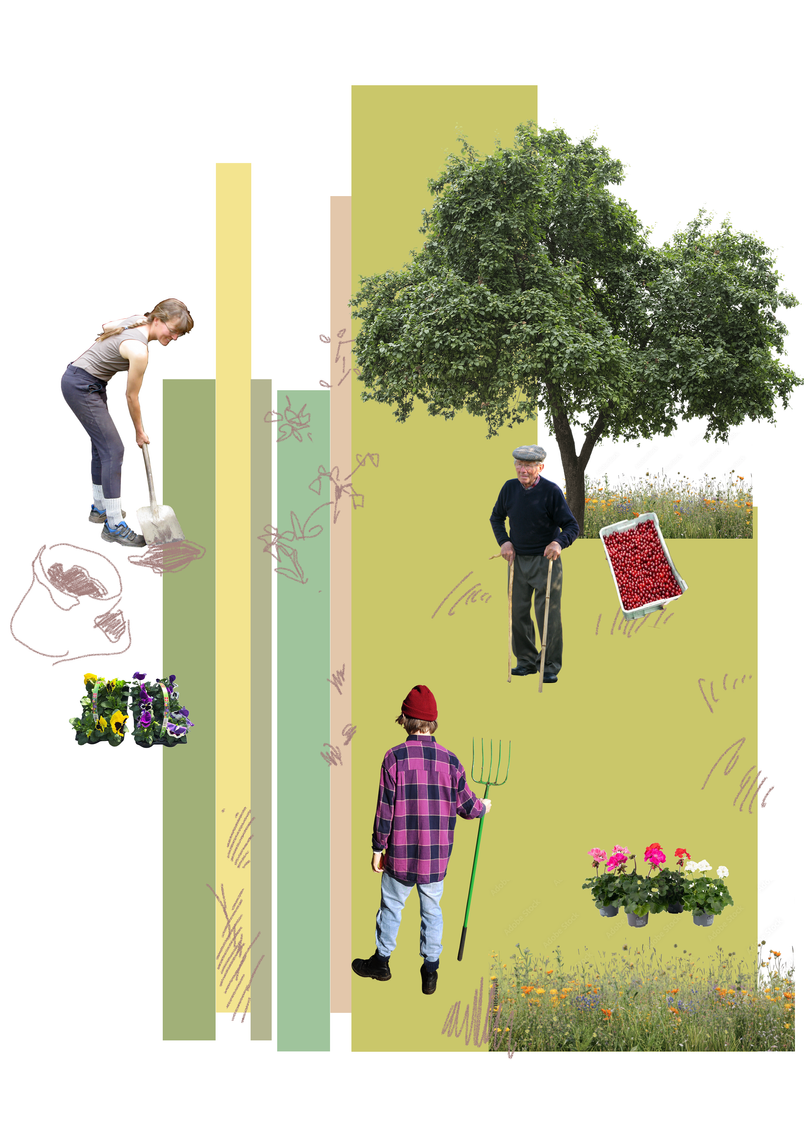 Proposed programme - collage of gardening of by-block spaces 